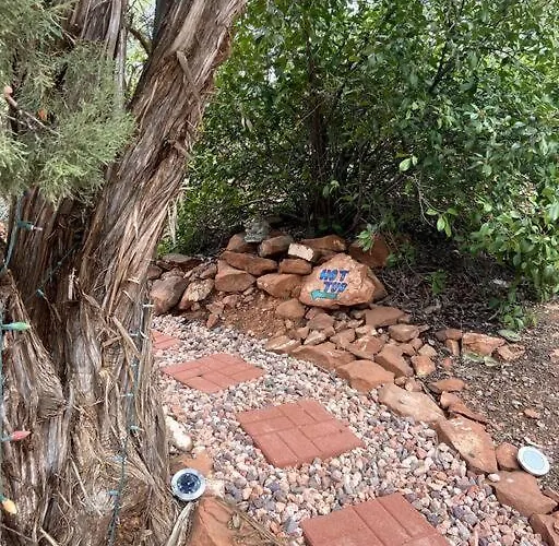 Raven * Sedona